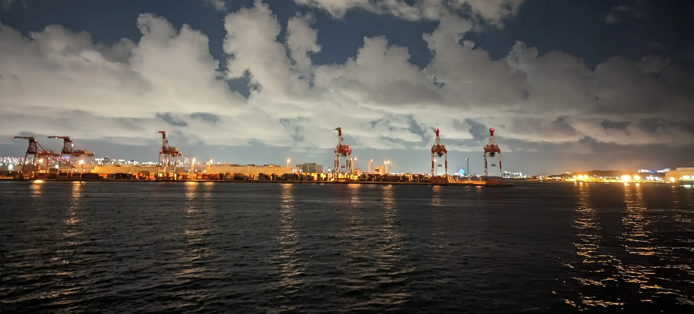 Container terminal cranes lit against a night sky